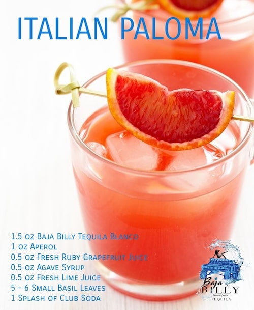 Italian Paloma Italian Paloma
