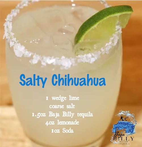 Salty Chihuahua Salty Chihuahua